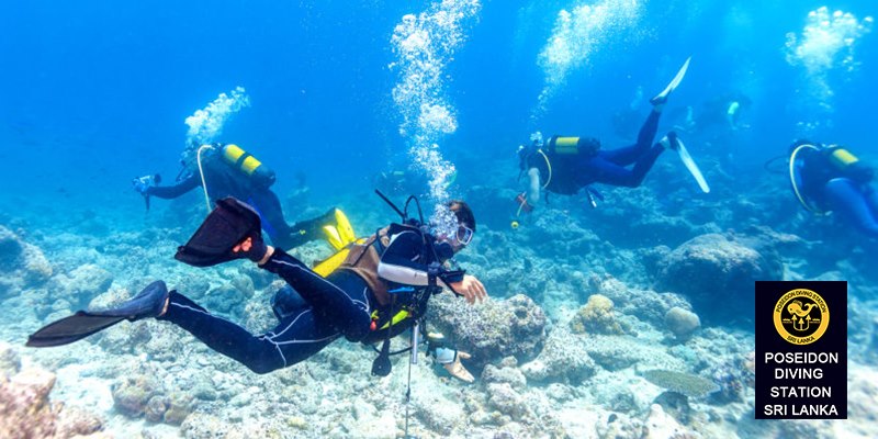 Scuba Diving in our seconf place with the top watersports in Sri Lanka